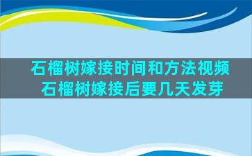 石榴树嫁接时间和方法视频 石榴树嫁接后要几天发芽